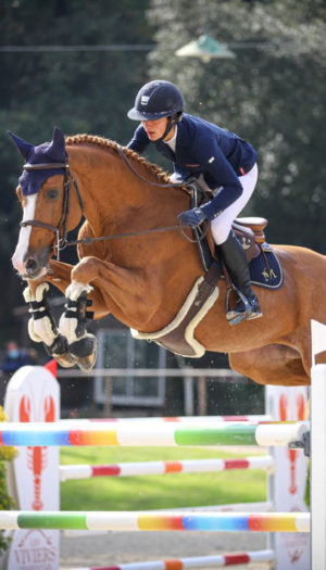 Bassano de Nantuel - Étalons SF et cheval de sport Haras de Clarbec