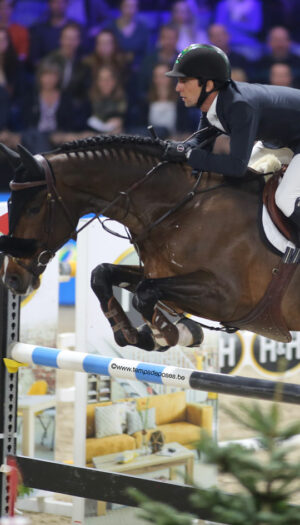 Luigi d'Eclipse - Étalons Haras de Clarbec